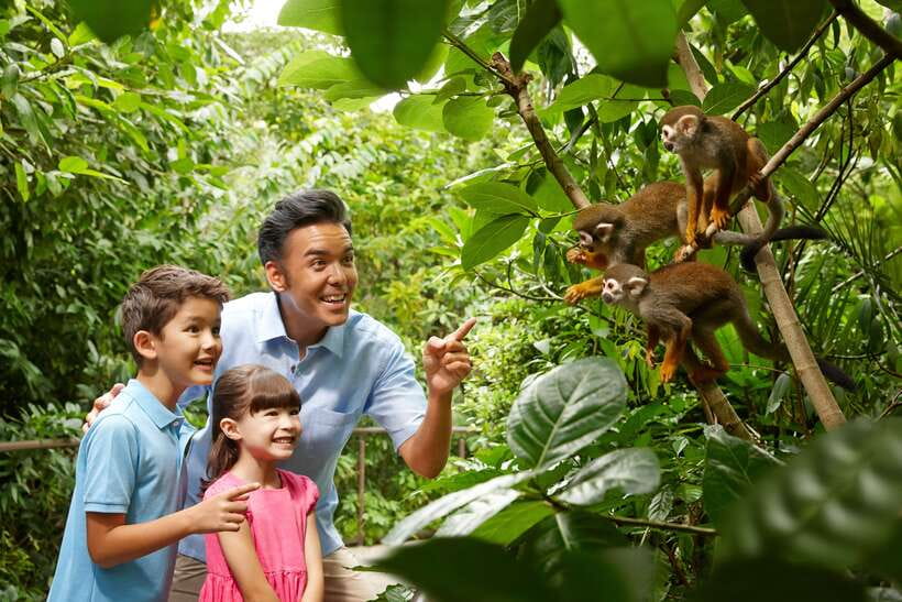 Singapore Zoo: 1-Day Entrance E-Ticket - Singapore Zoo at Mandai: near-natural habitats that change how you watch animals