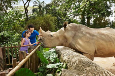 Singapore Zoo: 1-Day Entrance E-Ticket - Price and what $39 delivers for a full day