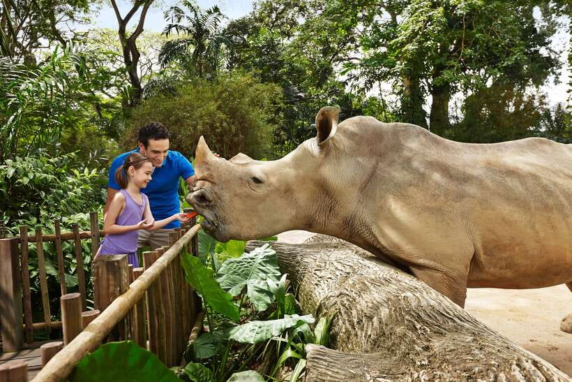 Singapore Zoo: 1-Day Entrance E-Ticket - Price and what $39 delivers for a full day