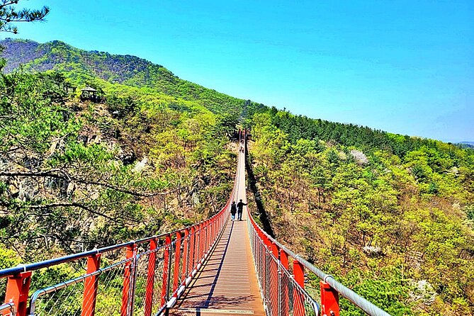 Small-Group DMZ Tour w/ North Korea Experience Hall & Susp.Bridge - Pace, group size, and what to bring for an easy day