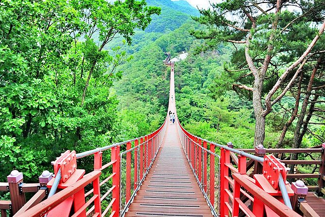 Small-Group DMZ Tour w/ North Korea Experience Hall & Susp.Bridge - Imjingak Park and Pyeonghoa-Nuri Park: the opening mood-setter