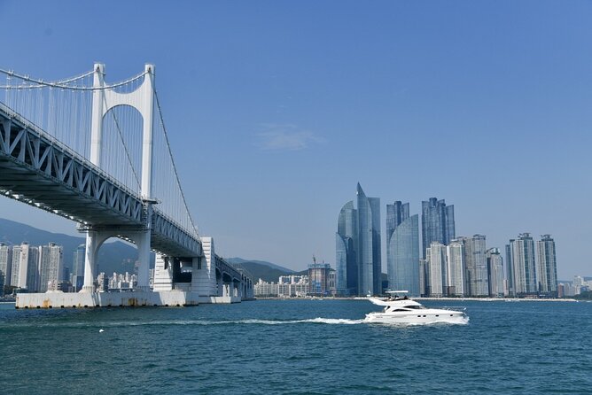 Small Group Full Day Busan Tour (Max 6 Pax) - Jagalchi Fish Market, BIFF Square, and Gukje Market: how to shop like you have a guide