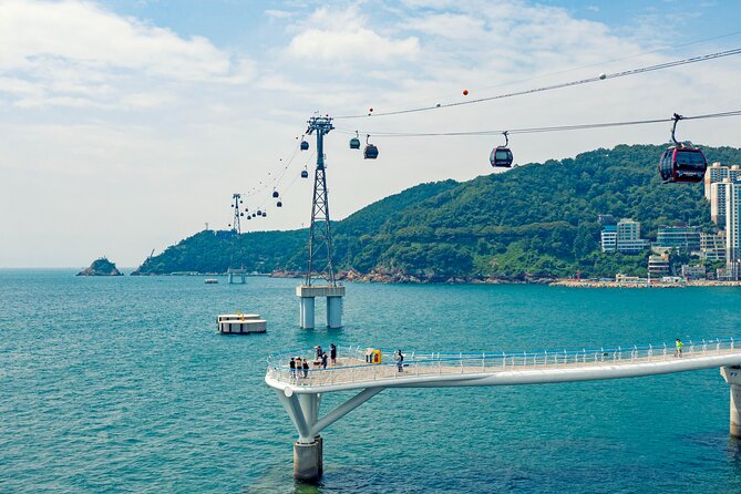 Small Group Full Day Busan Tour (Max 6 Pax) - Why the guide experience is the real difference