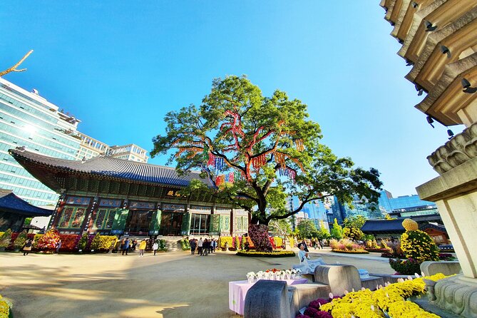 Small-Group Royal Palace and Seoul City Tour (hotel pick-up) - Gyeongbokgung Palace and the National Folk Museum: Joseon life in two lenses