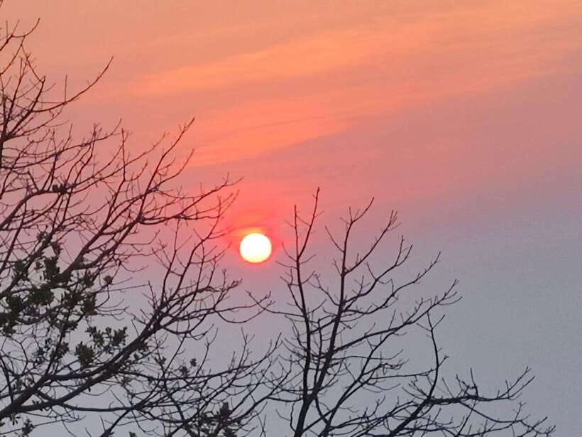 Spiritual Sunrise Wat Doi Suthep, Pha Lat, Alms & Meditation - Morning monks chanting and basic meditation: what you’re joining