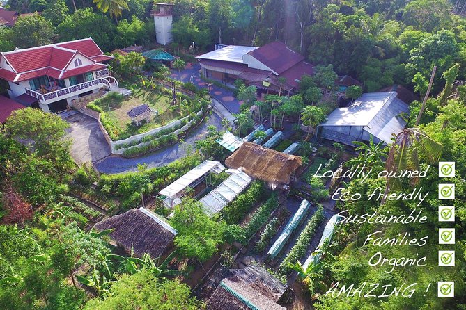 Thai Cooking Class | Since 2012 | Farm to Table - Diet options, group size, and what the class feels like in practice