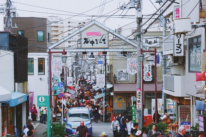 The Old Quarter of Tokyo - Yanaka Walking Tour - Nezu Shrine: Torii Gates, Photo Time, and Shrine Etiquette