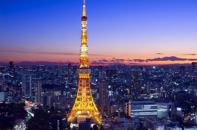 Tokyo 4hr Private Tour with Government-Licensed Guide - Key things that make this tour click