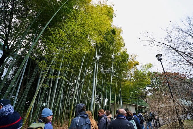 Tokyo Castle & Imperial PalaceーShogun Walking Tour - Guard towers, gates, and the shogun-era logic you can see