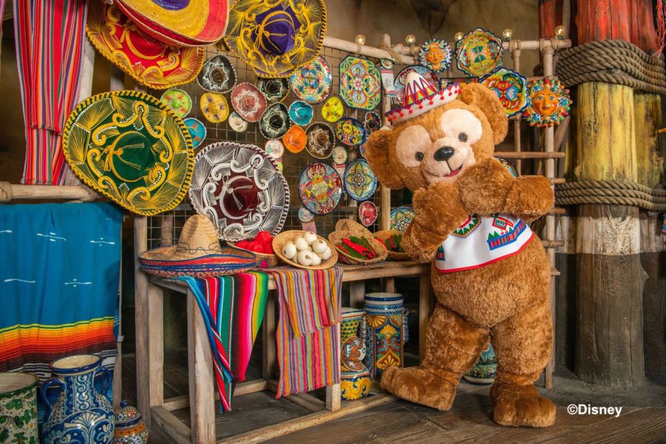 Tokyo: DisneySea 1-Day Passport - Wheelchair access and navigating the park