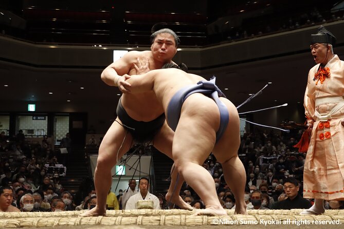 Tokyo Grand Sumo Tournament Viewing Tour with Tickets - Understanding what you’re watching: the English support that matters