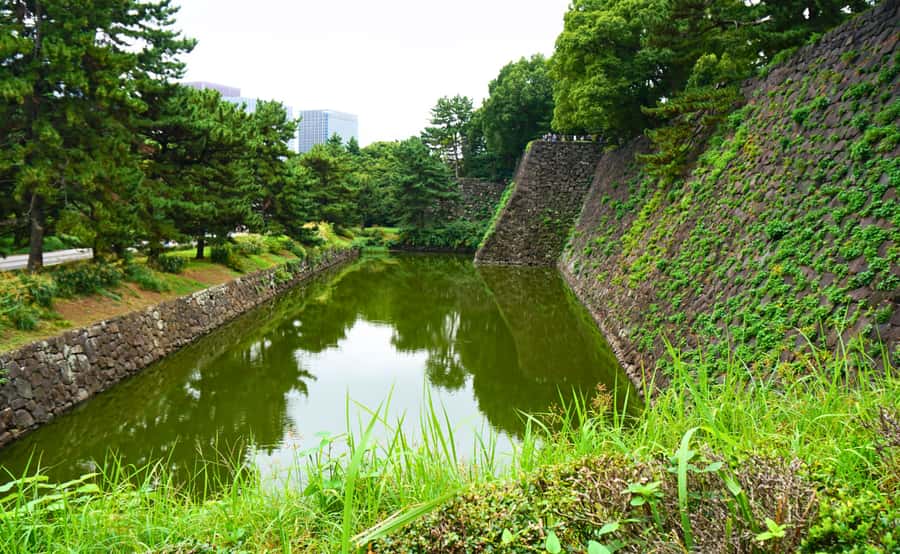 Tokyo: Imperial Palace Japanese History Walking Tour - Should You Book This Imperial Palace Japanese History Walking Tour?