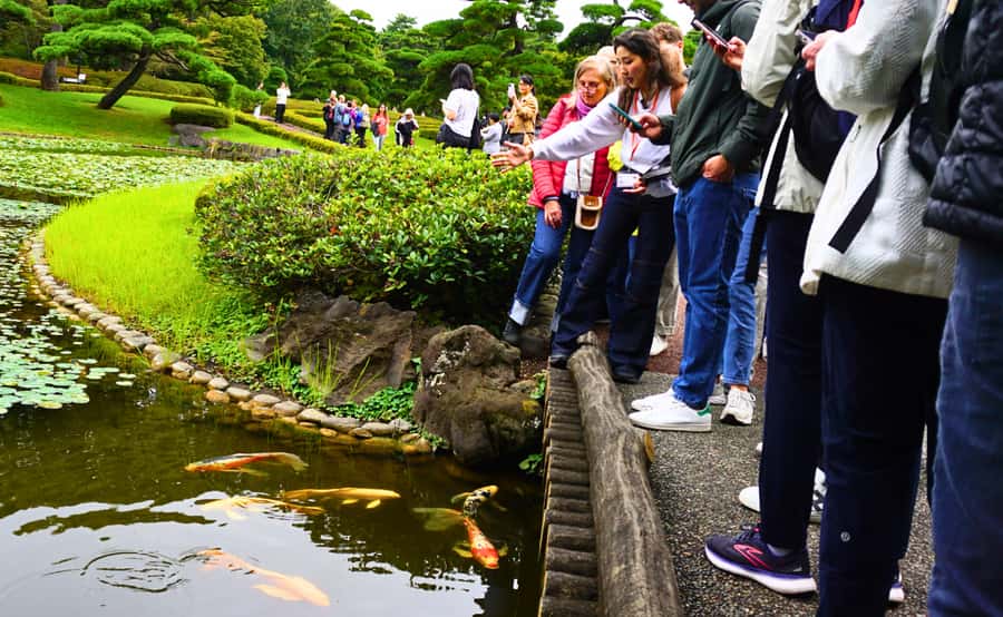 Tokyo: Imperial Palace Japanese History Walking Tour - Shogun’s World to Emperor’s Palace: What You’re Really Seeing