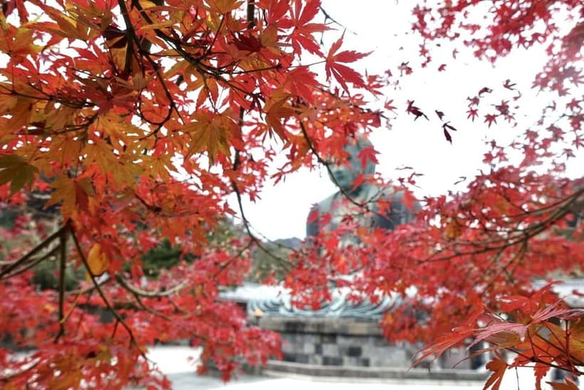Tokyo: Kamakura & Enoshima Day Trip including Temple Tickets - Guide quality and the difference it makes (Eric, Mitsuko, Omar, Yuki, Koji)