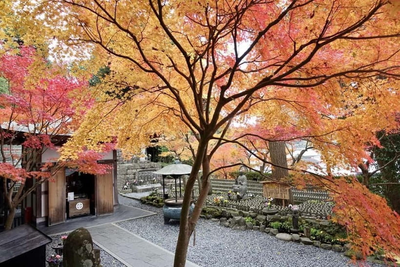 Tokyo: Kamakura & Enoshima Day Trip including Temple Tickets - Komachi Street: how to shop smart and snack like a local