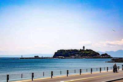 Tokyo: Kamakura & Enoshima Day Trip including Temple Tickets - Tsurugaoka Hachimangu: the shrine that frames the whole day