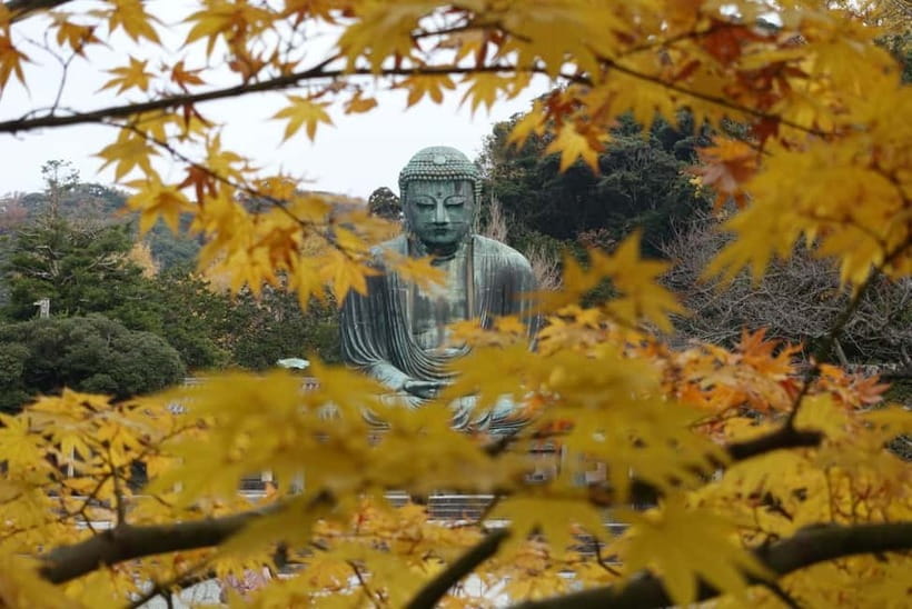 Tokyo: Kamakura & Enoshima Day Trip including Temple Tickets - Enoshima caves and Benzaiten shopping street: a different kind of walk