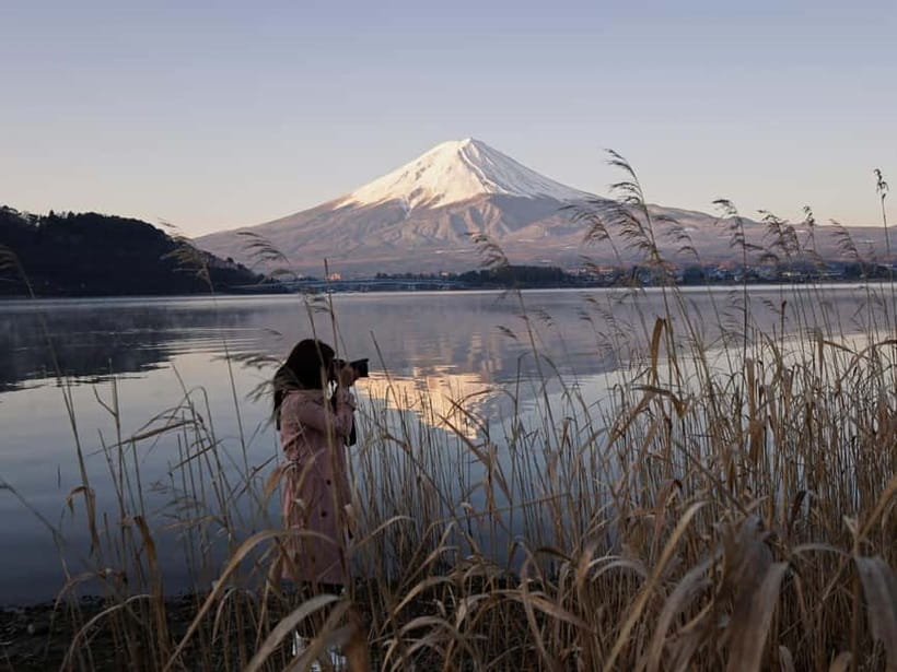 Tokyo: Mount Fuji and Hakone Private Sightseeing Day Trip - Key highlights that matter