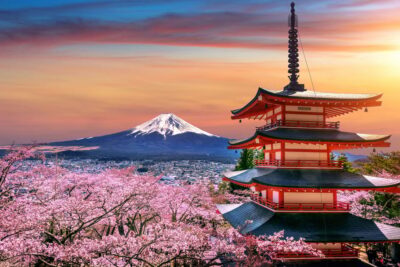 Tokyo: Mount Fuji and Hakone Private Sightseeing Day Trip - Pickup, timing, and how the 10 hours really work