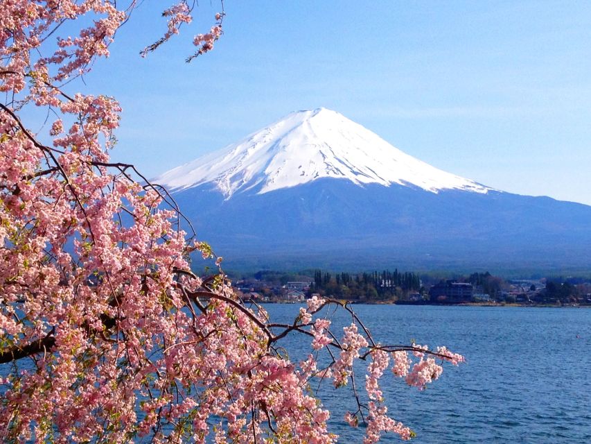 Tokyo: Mount Fuji and Hakone Private Sightseeing Day Trip - The driver factor: how English support changes the day