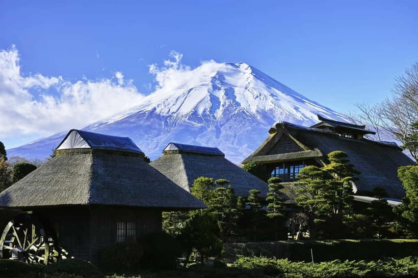Tokyo: Mount Fuji and Hakone Private Sightseeing Day Trip - Who this private day trip fits best