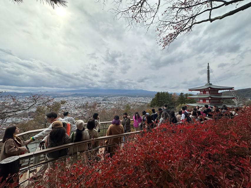 Tokyo: Mount Fuji and Hakone Private Sightseeing Day Trip - Should you book this private Fuji and Hakone day trip?