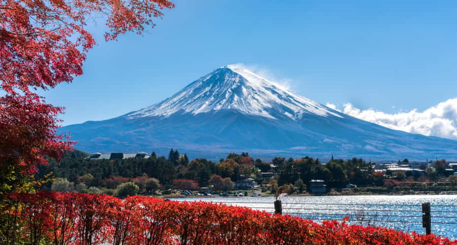 Tokyo: Mt. Fuji 5th Station, Kawaguchiko Tour w/ Cable Car - Timing and group management: the part you don’t see, but feel