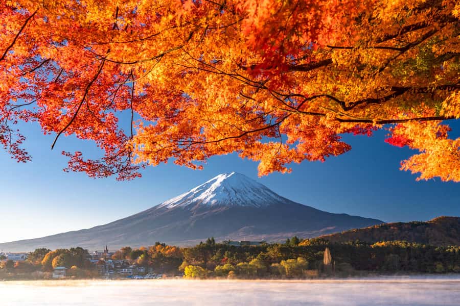 Tokyo: Mt. Fuji and Kawaguchiko Full-Day English Guided Tour - Key points before you go