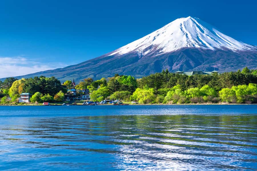 Tokyo: Mt. Fuji and Kawaguchiko Full-Day English Guided Tour - Timing, transport, and the big-day fatigue factor