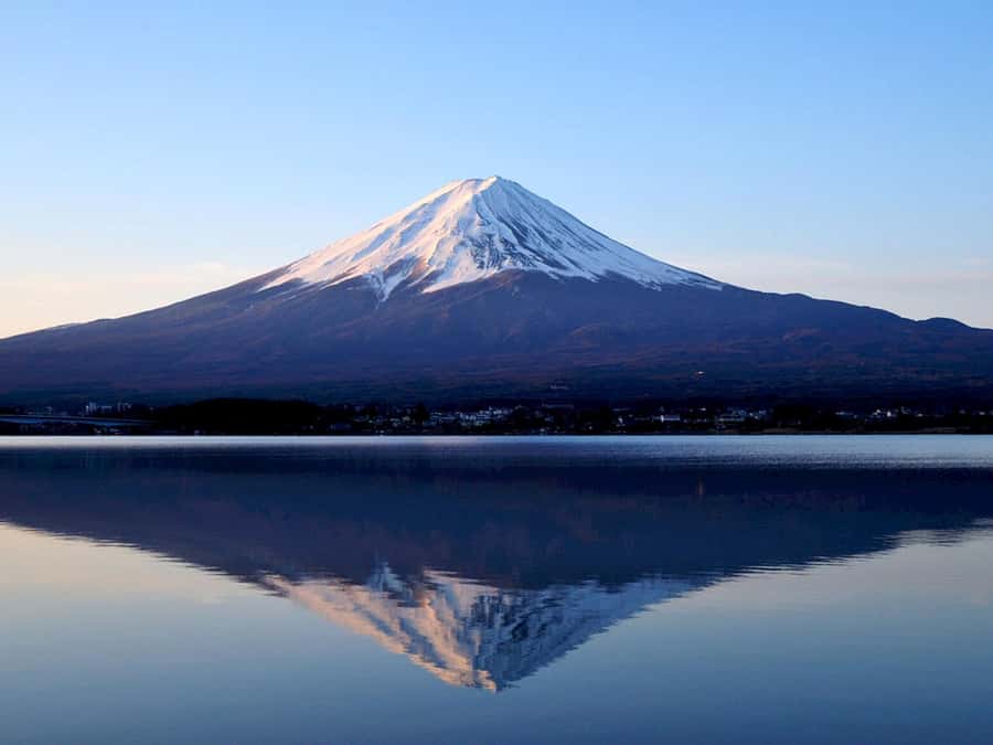 Tokyo: Mt. Fuji and Kawaguchiko Full-Day English Guided Tour - Price and value: why $82 can work for the right traveler