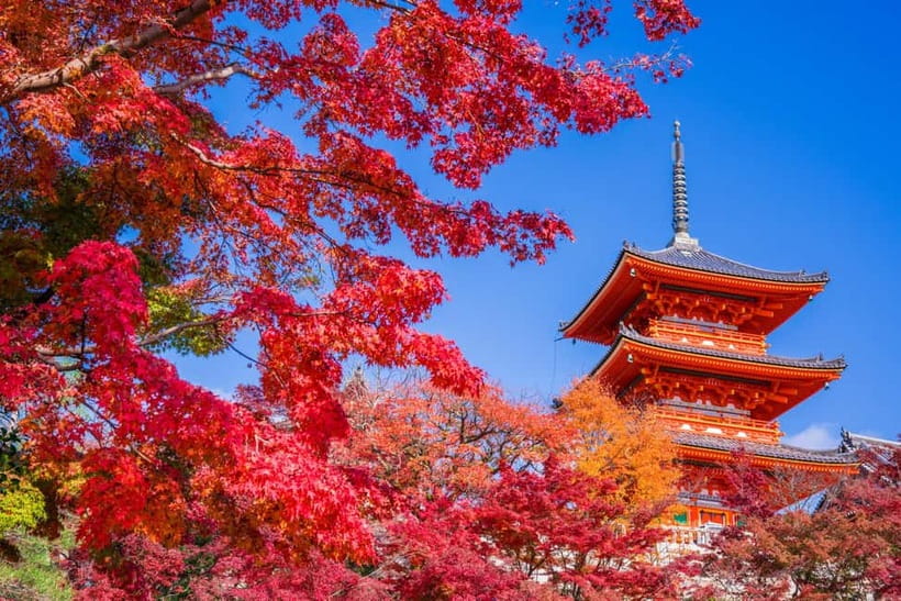 Tokyo: Mt. Fuji, Hakone, Arakura Fuji Sengen w/ Ramen Making - Should You Book This Mt. Fuji and Ramen Day Trip?