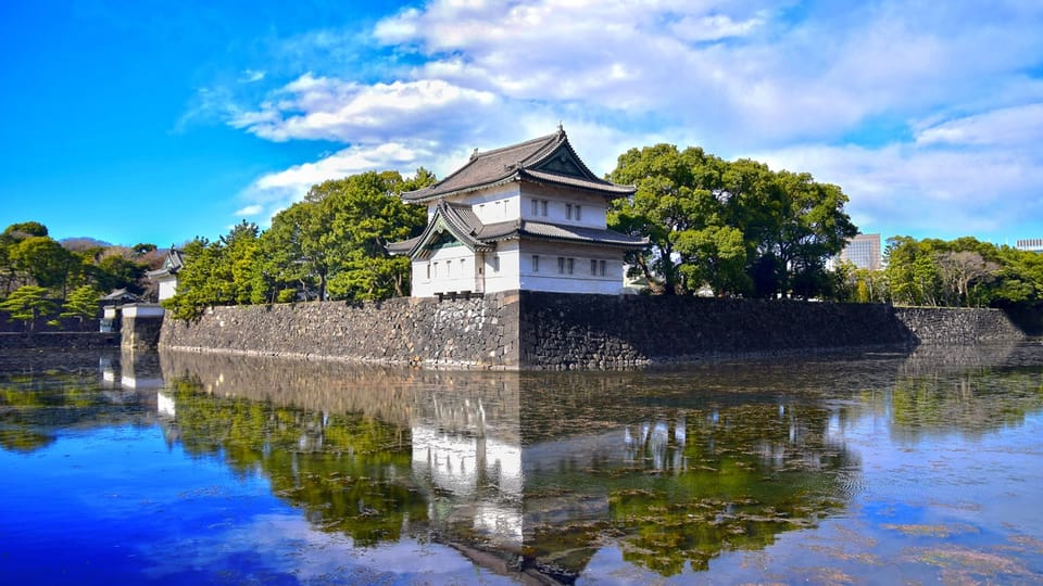 Tokyo: Private City Highlights Tour with Local Guide - Meiji Jingu: the forest walk that resets your brain