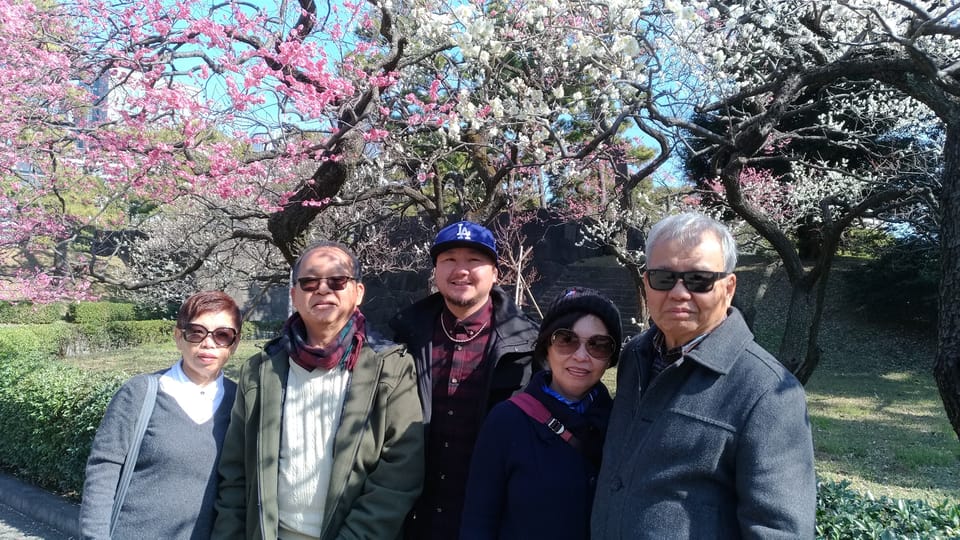 Tokyo: Private City Highlights Tour with Local Guide - Akihabara and Nezu: tech obsession or shrine detail, your choice