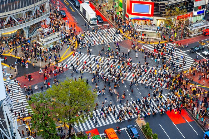 Tokyo Private Sightseeing Tour by Car- English speaking chauffeur - Stop 4: Tokyo Skytree for skyline views (tickets not included)