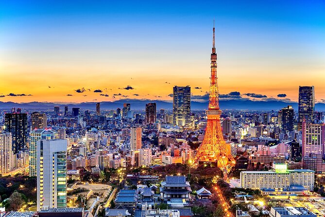 Tokyo Private Sightseeing Tour by Car- English speaking chauffeur - Price and value for a group up to 4