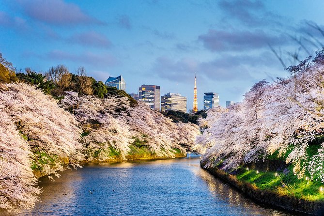 Tokyo Private Tour by Vehicle with English-Speaking Chauffeur - How this private car day makes Tokyo simpler