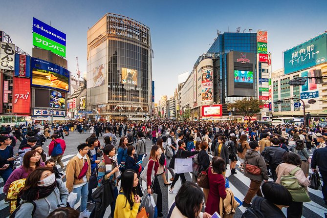 Tokyo Private Tour by Vehicle with English-Speaking Chauffeur - Skytree: the view stop (and the only major paid entry)