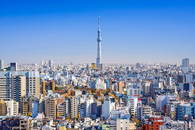 Tokyo Private Tour by Vehicle with English-Speaking Chauffeur - Tsukiji Outer Market: where food + atmosphere do the work