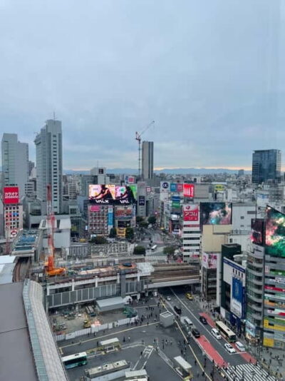 Tokyo: Shibuya Highlights Walking Tour - The Shibuya Scramble crossing: famous, but worth doing the guided way