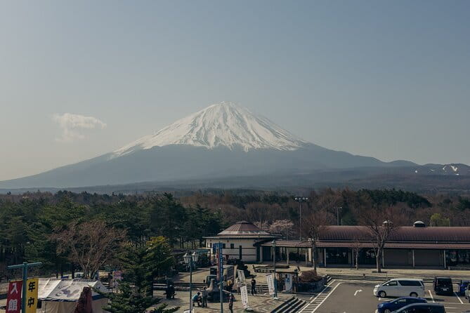 Tokyo: Shinjuku Historical Walking Tour & Secret Backstreets - Hanazono Shrine: a quiet reset inside busy Shinjuku
