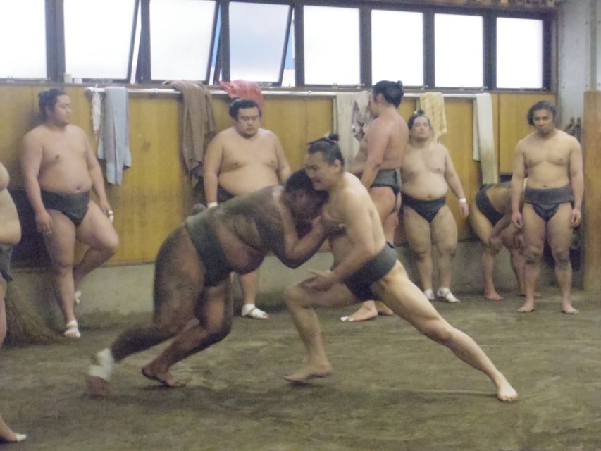 Tokyo: Sumo Morning Practice Viewing Tour - What morning training looks like: technique, power, and repetition