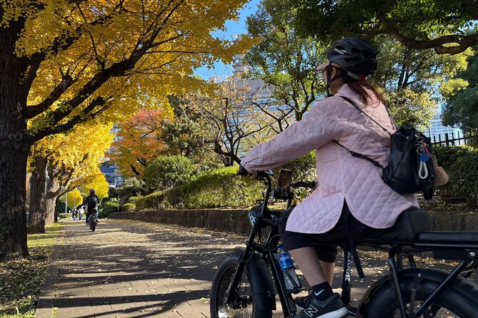 Tokyo Top Highlights 3h Guided E-bike Tour - Tokyo Tower Route: shrines on hills, classic government sights, and Hibiya Park breaks
