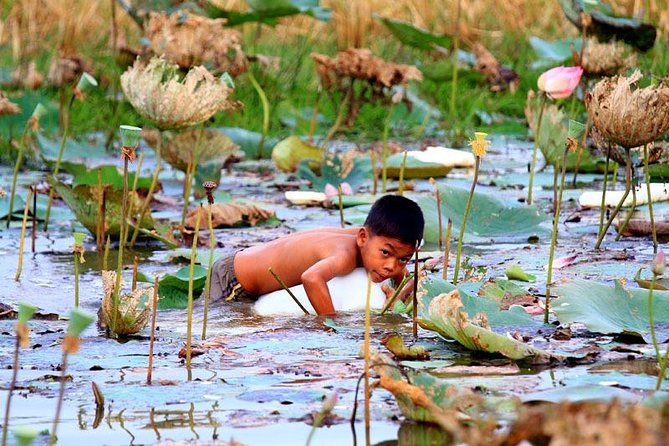 Tonle Sap Lake & Kampong Phluk Village Half-Day Tour - Tonle Sap Lake and Kampong Phluk: What this half-day really shows