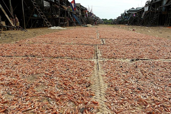 Tonle Sap Lake & Kampong Phluk Village Half-Day Tour - Stop 1: Kampong Phluk Floating Village (boat, walk, and real daily rhythms)