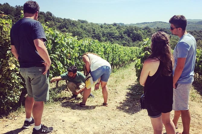 Tuscany Vespa Tours Through the Hills of Chianti - The Chianti ride: timing, pacing, and what you’ll actually see