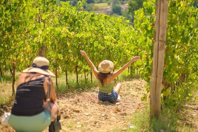 Tuscany Vespa Tours Through the Hills of Chianti - Buying wine and olive oil: what you can take home