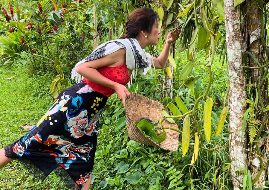Ubud: Balinese Cooking Class at an Organic Farm - Key highlights to know before you go