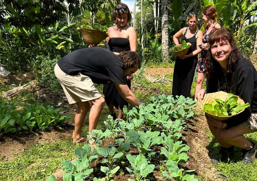 Ubud: Balinese Cooking Class at an Organic Farm - Timing tips: choose morning if you want the full Balinese rhythm
