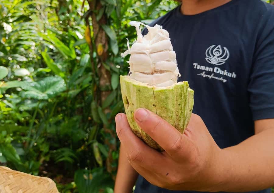 Ubud: Balinese Cooking Class at an Organic Farm - Shared cooking stations: hands-on, but do plan for teamwork