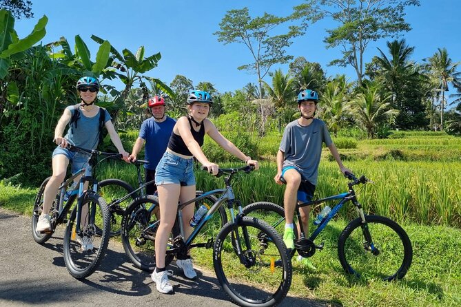 Ubud: Downhill Cycling with Volcano, Rice Terraces and Meal - Pricing and value: about $36.66 for a full half-day